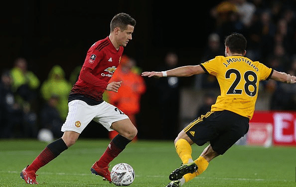 波波维奇与 波波维奇与